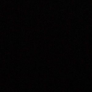 Meet your Posher, Elisa